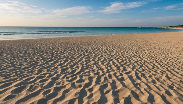 Top destinations pour des vacances en bord de mer au grau du roi